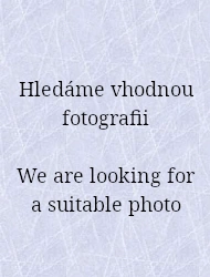 Anommatus confusus (Dajoz, 1971), 1.3 - 1.5 mm