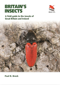 Cover of Britain's Insects 