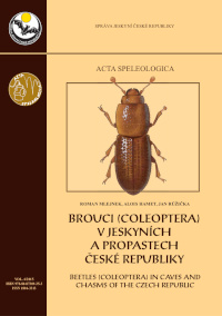 Cover of Bouci (Coleoptera) v jeskyních a propastech České republiky