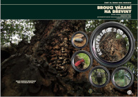Cover of Brouci vázaní na dřeviny