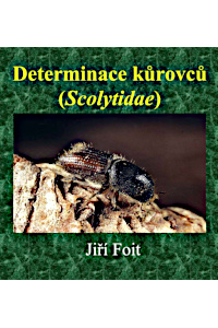 Obálka Determinace kůrovců (Scolytinae)