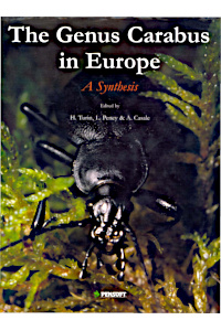 Cover of The Genus Carabus in Europe