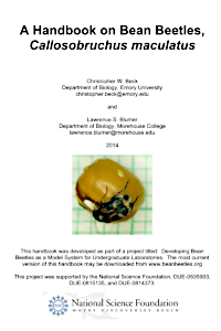 Cover of A Handbook on Bean Beetles, Callosobruchus maculatus