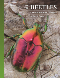 Cover of The Lives of Beetles