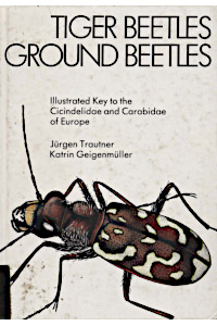 Cover of Tiger Beetles, Ground Beetles / Sandlaufkäfer, Laufkäfer