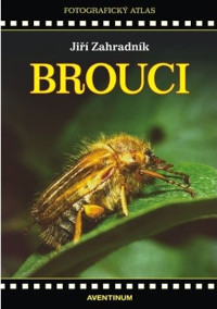 Cover of Brouci