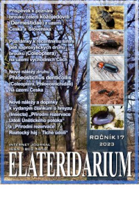 Cover of Elateridarium – Internet Journal