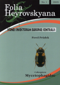 Obálka Folia Heyrovskyana: Coleoptera: Mycetophagidae