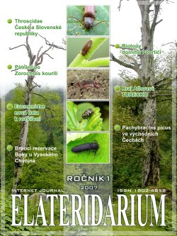 elateridarium 2007 1 m