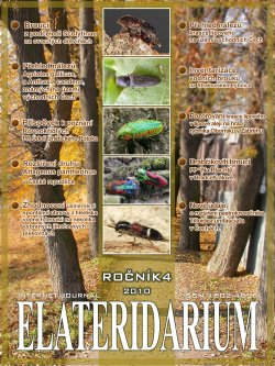 elateridarium 2010 5 m