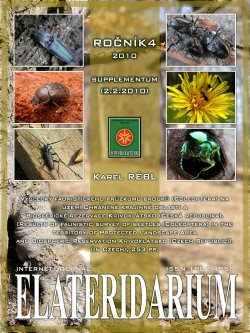 elateridarium 2010 6 m