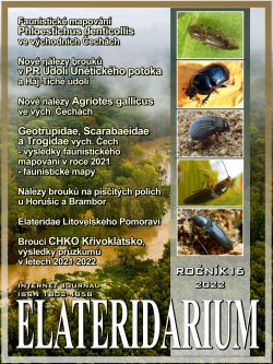 elateridarium 2022 22 m