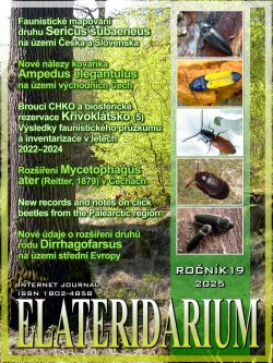 elateridarium 2025 28 m