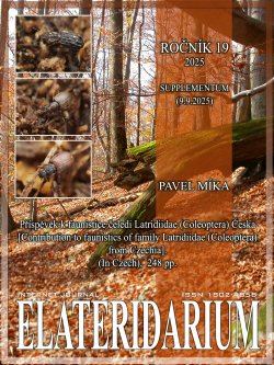 elateridarium 2025 29 m