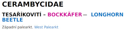 Cover of Cerambycidae (Milan Sláma)