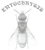 Cover of Entochrysis