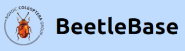 Cover of BeetleBase