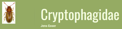 Cover of Cryptophagidae