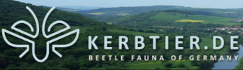 Cover of Kerbtier.de