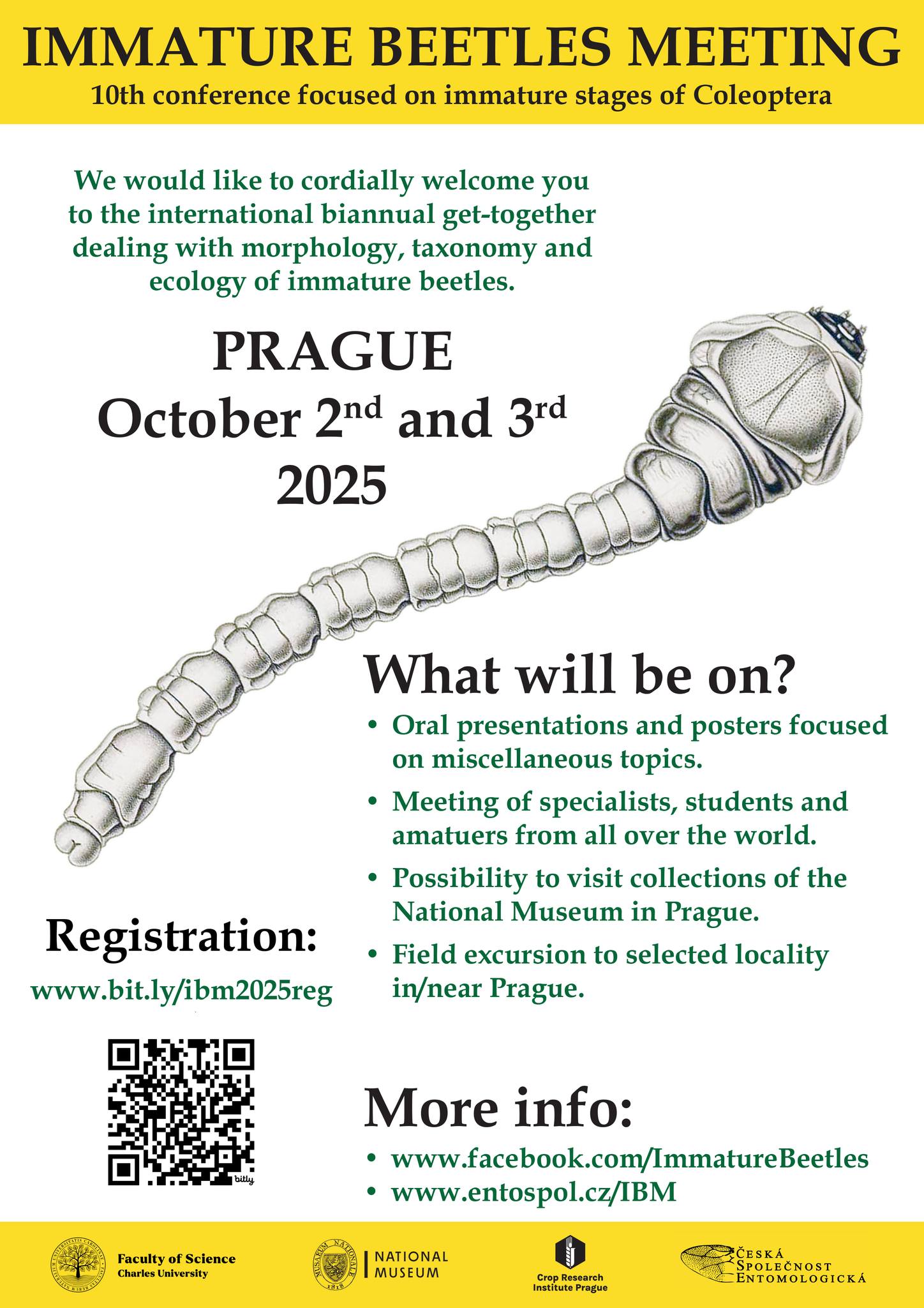 Immature Beetles Meeting 2025