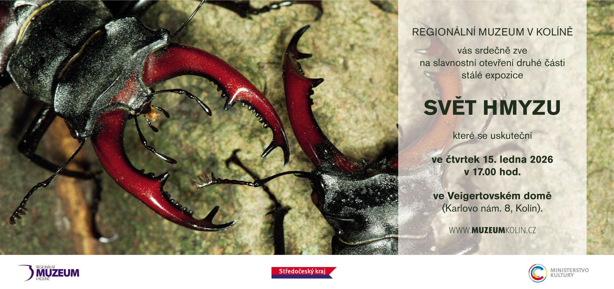 Svět hmyzu Kolín