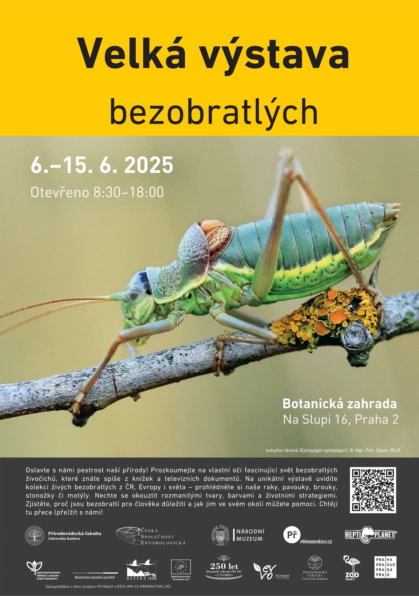 Velká výstava bezobratlých 2025