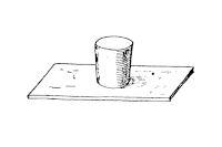 Krycí sklíčko na fixaci exempláře