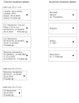 Location labels: examples of correctly and incorrectly written labels