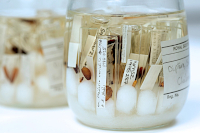 Ukázka preparace uložením ve fixační tekutině