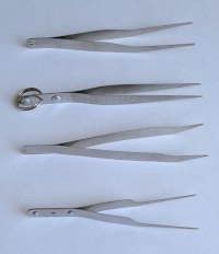 Ukázky entomologických pinzet