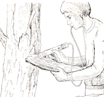 Příklad použití exhaustoru při lovu podkorního hmyzu