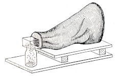 fotoeklektor Pliginský