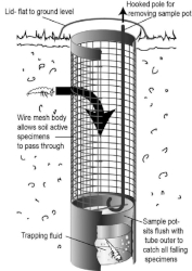 Podzemní past - konstrukce a princip fungování