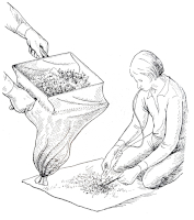 Ukázka práce s prosivadlem