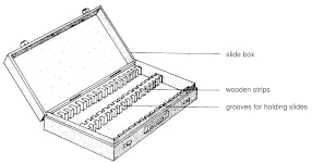 Krabice pro mikroskopické preparáty