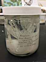 Příklady mokré sbírky