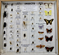 Ukázka krabice s popisnými štítky